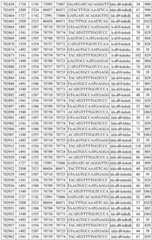 Figure BDA0002715438180001381