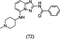 Figure GPA00001035513100951