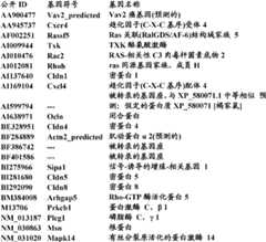 Figure BDA0000057170160002222