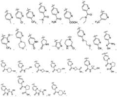 Figure PCTCN2017114970-appb-000010