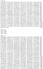 Figure IDA00002091897101081