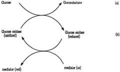 Figure imgf000004_0001