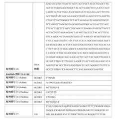 Figure 0007483732000030