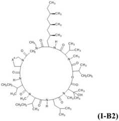 Figure BDA0003976656700000161