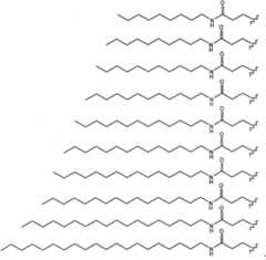 Figure A20068002978801281