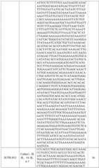 Figure BDA0002572923940000681