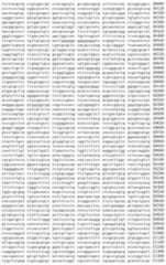 Figure IDA00002091897100361