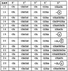 Figure A0114295700552