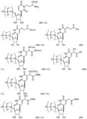 Figure imgf000063_0001