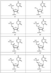 Figure imgf000108_0001
