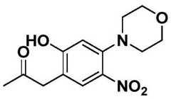 Figure BDA0001702803240002562