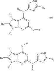 Figure US08288536-20121016-C00007