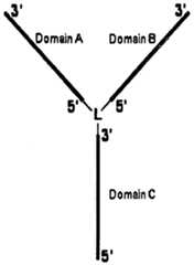 Figure imgf000080_0001