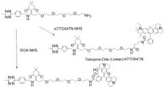 Figure imgf000587_0003