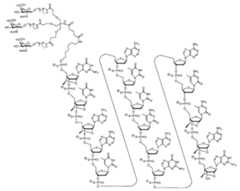 Figure 0007422816000007