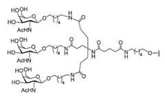 Figure 2023012548000334