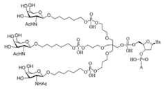 Figure 2023012548000237