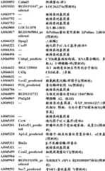 Figure BDA0000057170160000861