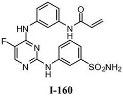 Figure BDA0001453135130002381