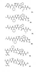 Figure G2009101493490D00631