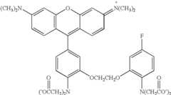 Figure US07102005-20060905-C00009