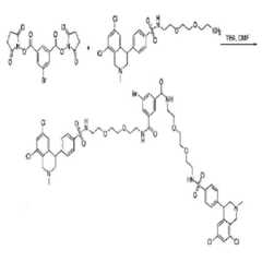 Figure 112011059052603-pct00361