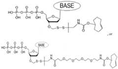 Figure imgf000424_0001