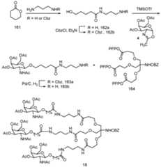 Figure imgf000244_0001