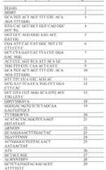 Figure imgf000104_0001