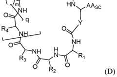 Figure imgf000124_0001