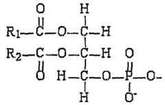 Figure imgf000081_0001