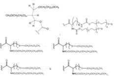 Figure 112009026250918-PCT00201