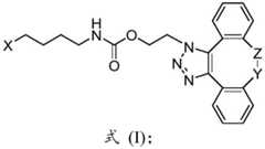 Figure BDA0003590456550001131