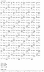 Figure IDA00002091897103391