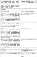 Figure BDA0003833495240000651