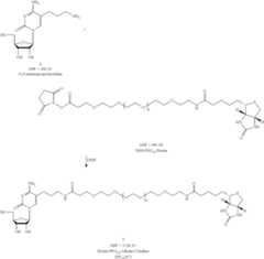 Figure US09206216-20151208-C00033