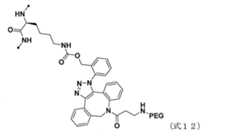 Figure JPOXMLDOC01-appb-C000070