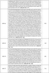 Figure imgf000082_0001