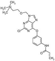 Figure BDA0000479984280001261