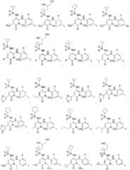 Figure BDA0000111856220000101