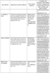 Figure imgf000336_0001