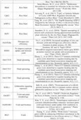 Figure PCTCN2022090268-appb-000087