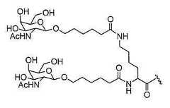 Figure 2023012548000915