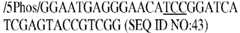 Figure imgb0043