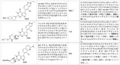 Figure 0007174143000334