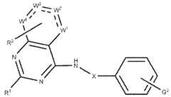 Figure imgf000078_0001