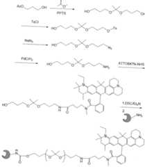 Figure imgf000584_0001