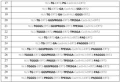 Figure imgf000041_0002