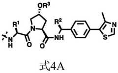 Figure FDA0002964098090000401