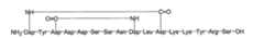 Figure imgb0031